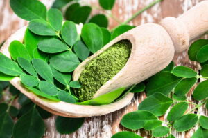 what_is_moringa